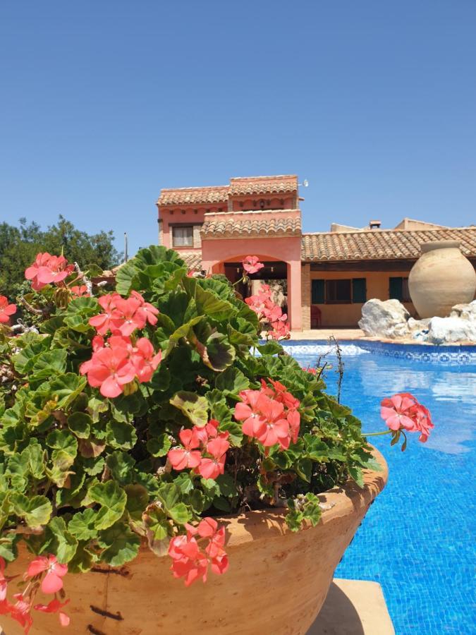 La Candelera L'Ametlla de Mar Luaran gambar
